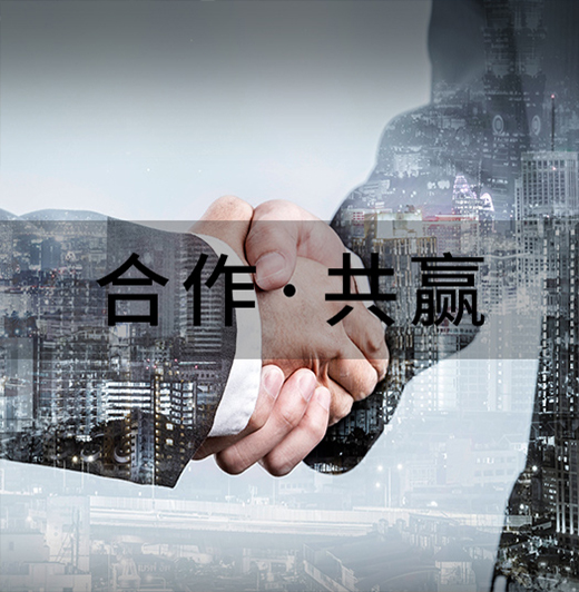 智能系统集成服务